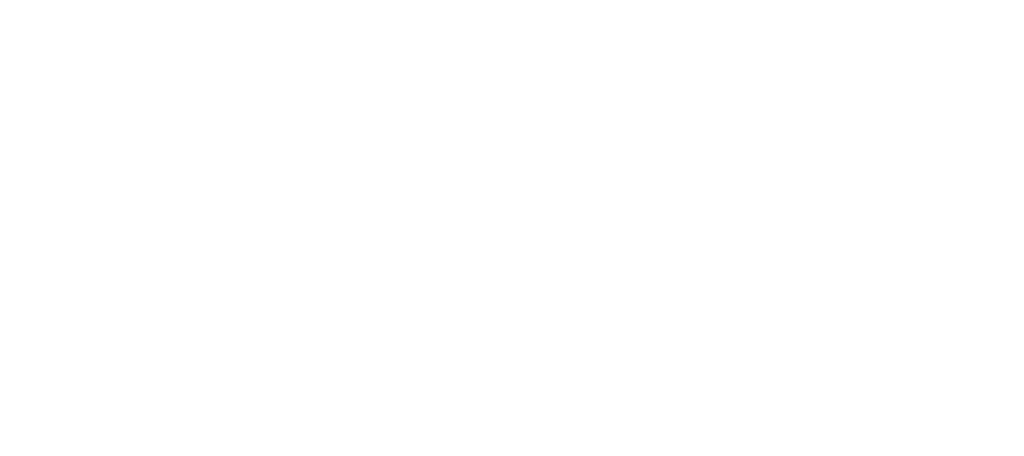 The Laser Lounge Spa Main Logo